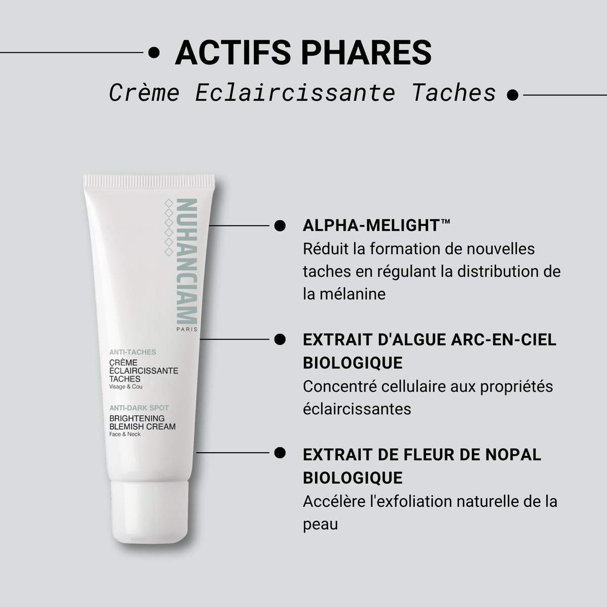 Crème éclaircissante Tein Metisse Pour Visage Et Cou - 50 Ml - Avec Acide Kojique