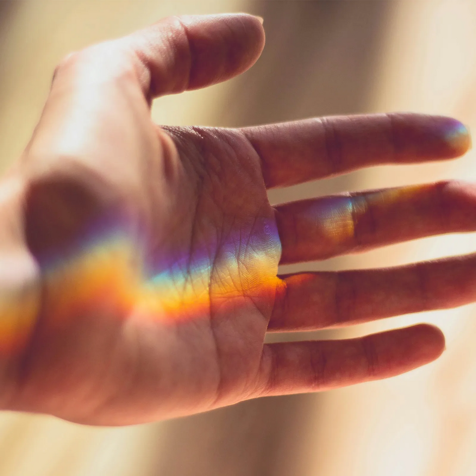 algue arc-en-ciel biologique (cybright™ g) bienfaits effets peau