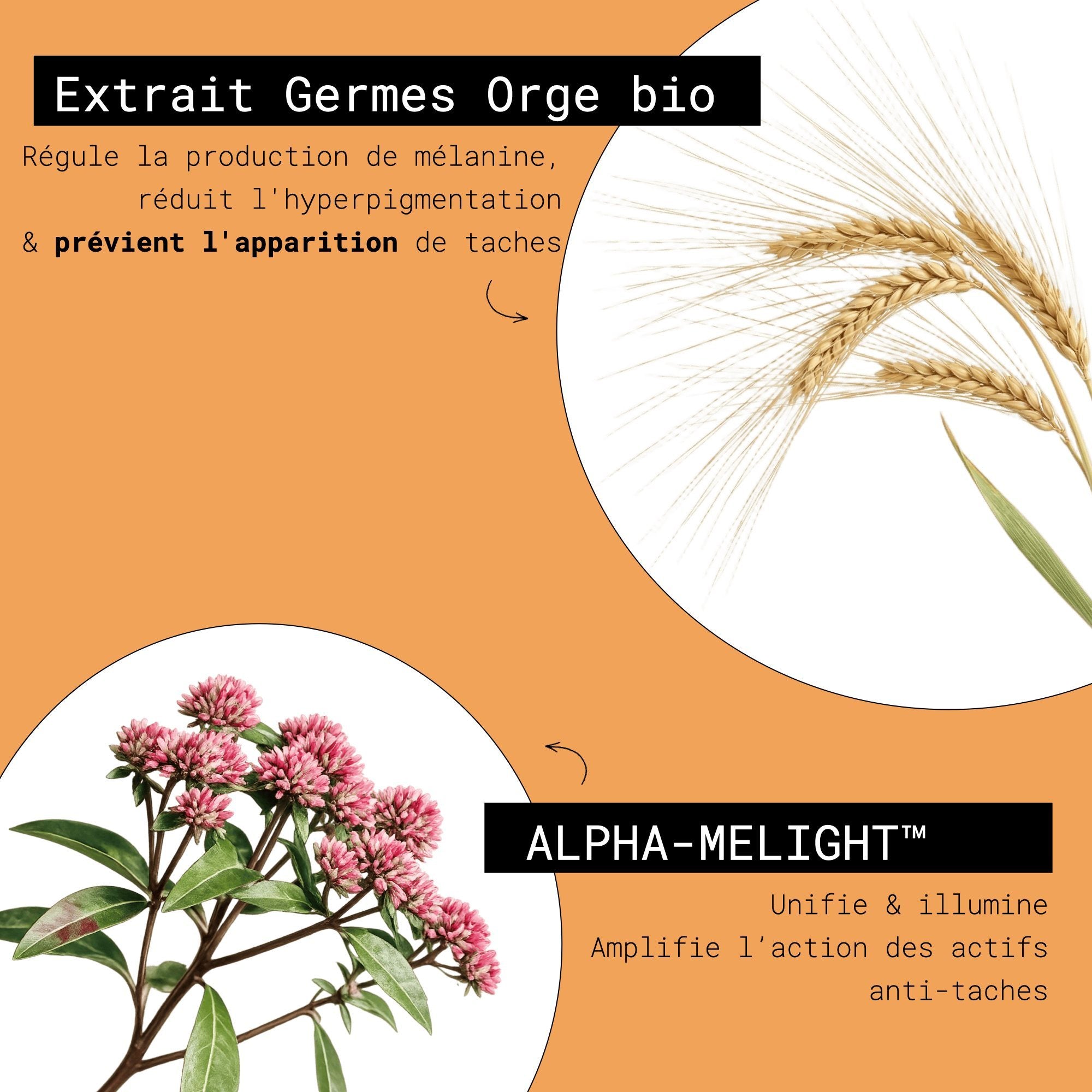 Ingrédients NUHANCIAM Crème Solaire Invisible Anti Taches Brunes SPF 50+ avec orge bio et trèfle rose